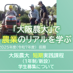 大阪農大　農業　短期実践　研修