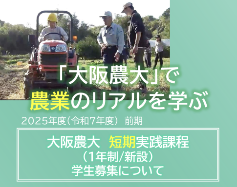 大阪農大　農業　短期実践　研修