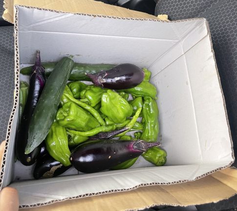 なすび　きゅうり　ぴーまん