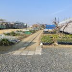 農場　市民農園