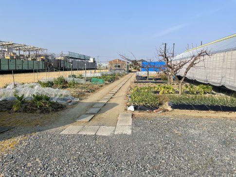 農場　市民農園