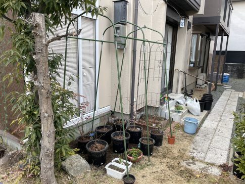 ビニールハウス