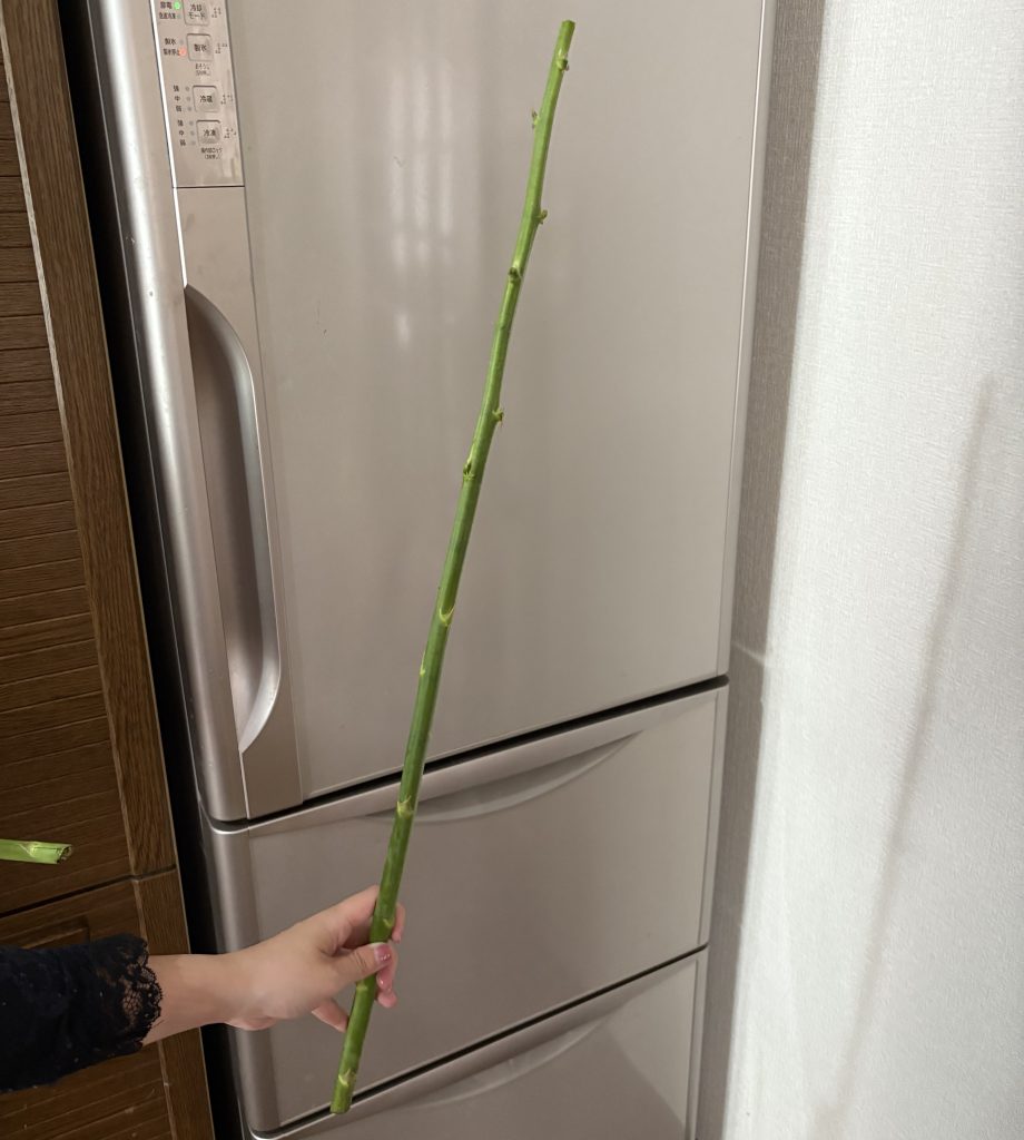 アスパラのサイズ