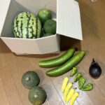 夏野菜
