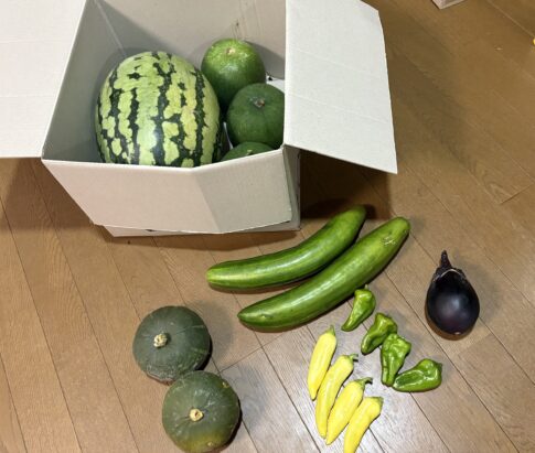 夏野菜