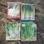 冬にむけての植え付け