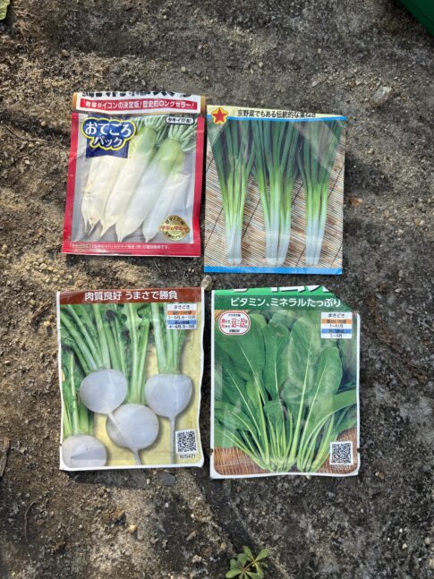 冬にむけての植え付け