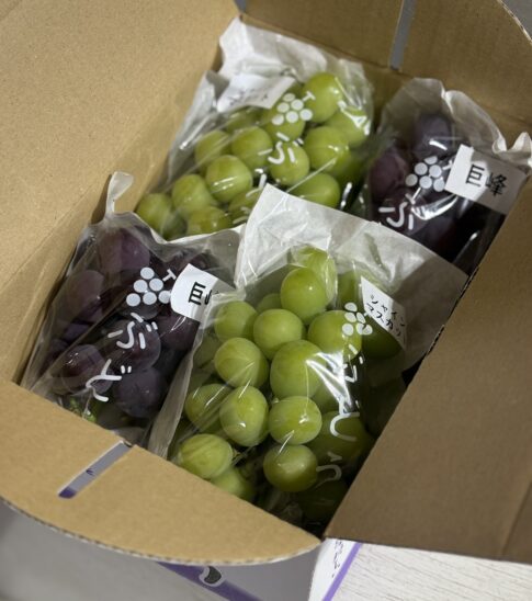 ぶどう出荷