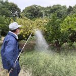 農薬散布